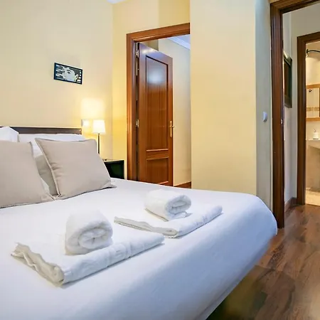 Atico Catedral Apartment *